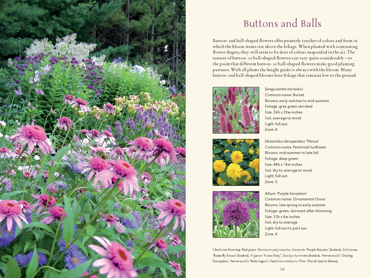 perennial plant combinations