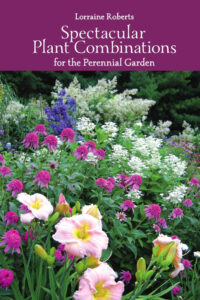 Perennial Plant Combinations