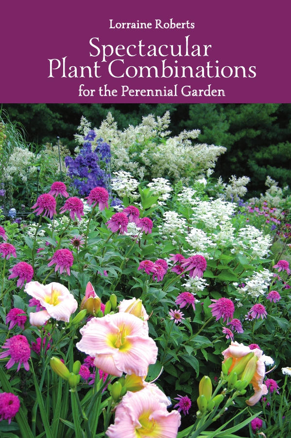 Spectacular Plant Combinations for the Perennial Garden book by Lorraine Roberts