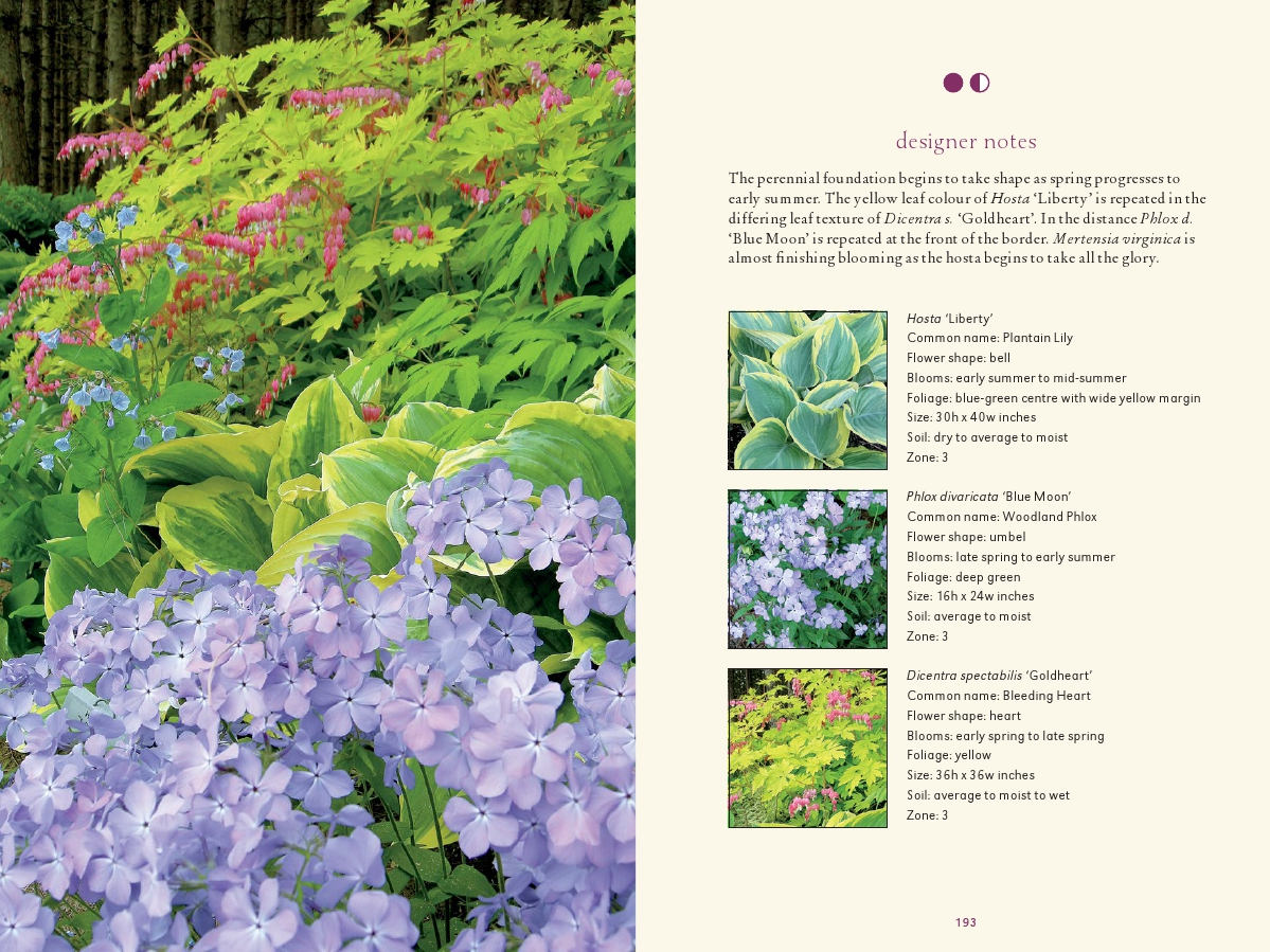 perennial plant combinations